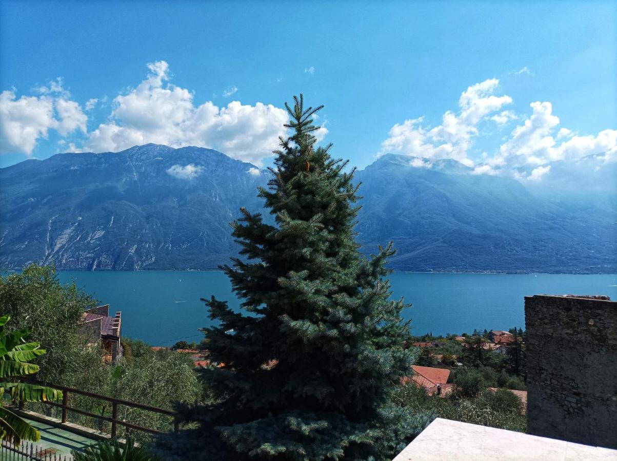 Villa Fior Di Loto Limone sul Garda Ngoại thất bức ảnh