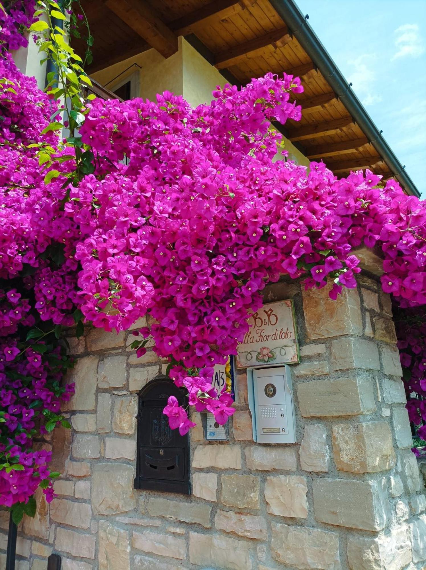 Villa Fior Di Loto Limone sul Garda Ngoại thất bức ảnh